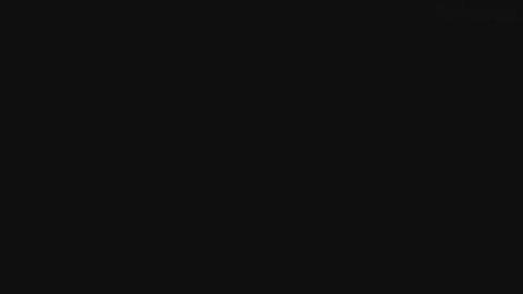 258
