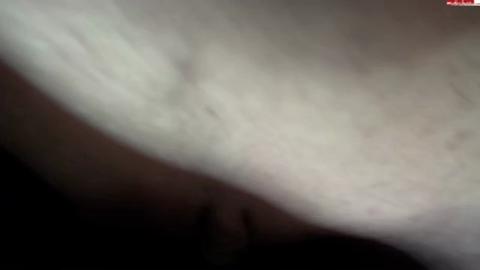 16403