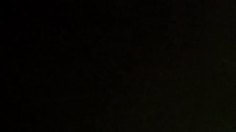33638