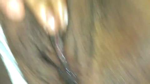 7959