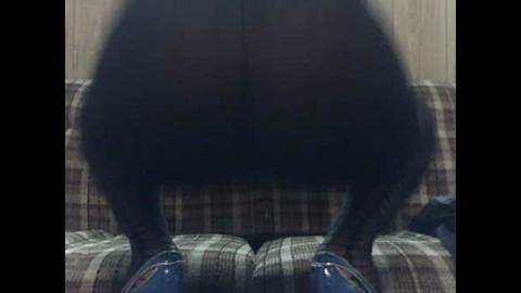 25023