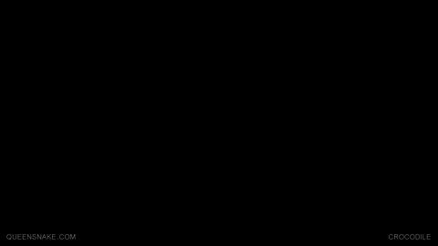 32017