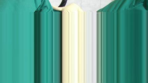 25333